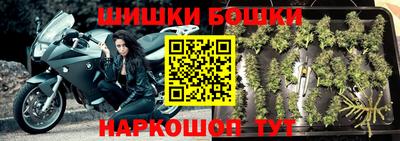 СК Рыбинск