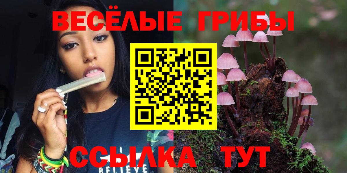 Псилоцибиновые грибы ЛСД Сарапул