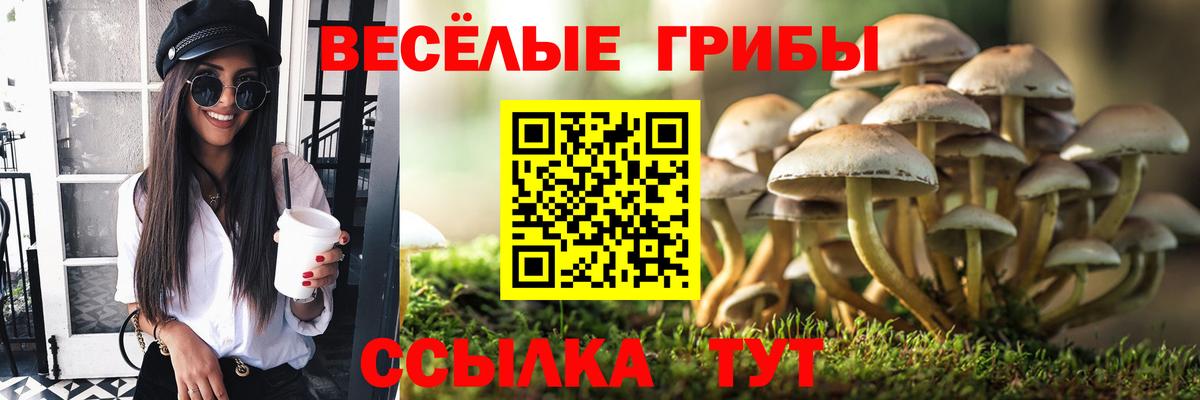Сарапул  Псилоцибиновые грибы Magic Shrooms  Вход с VPN 